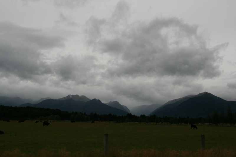 Nieuw-Zeeland 2011 - 1673